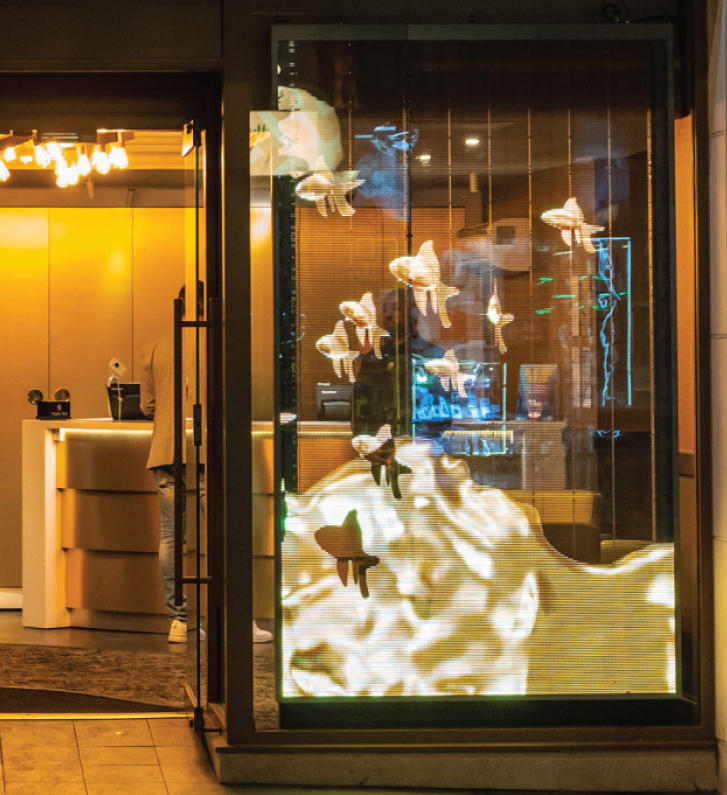 mesh led window